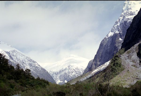 NZ-21-0008