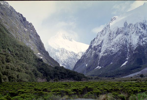 NZ-21-0009