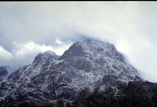 NZ-21-0011