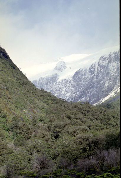 NZ-21-0012