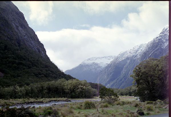 NZ-21-0015