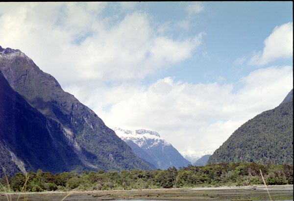 NZ-21-0017