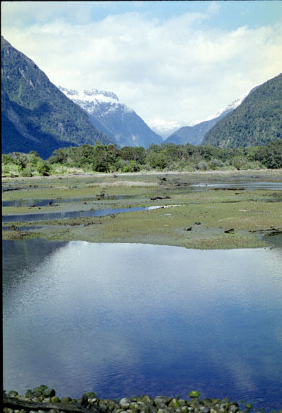 NZ-21-0018
