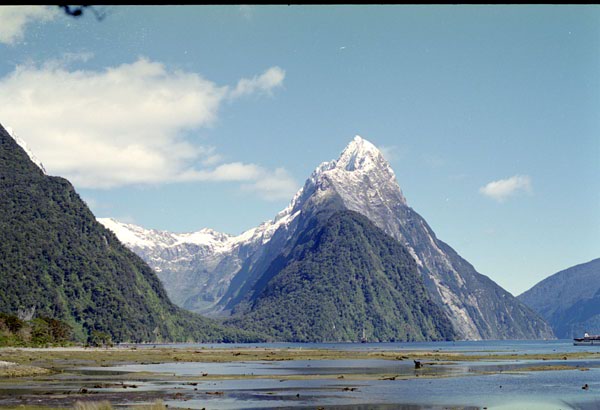 NZ-21-0019