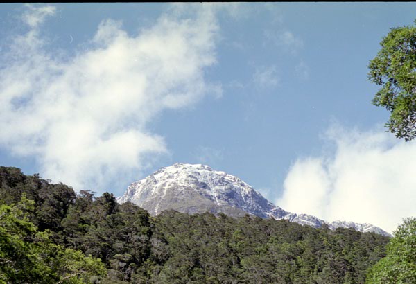 NZ-21-0020
