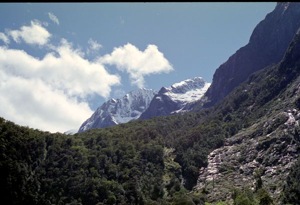 NZ-21-0023