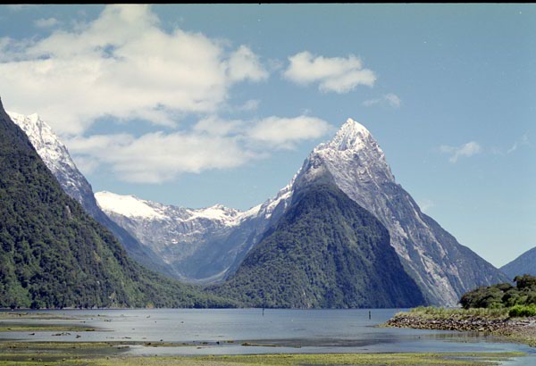 NZ-21-0024