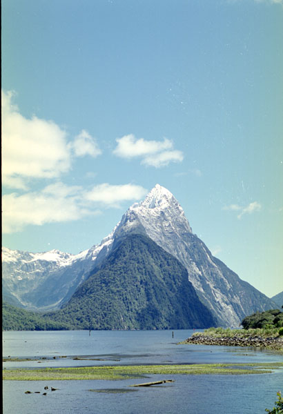 NZ-21-0025