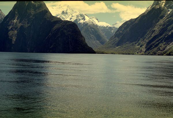 NZ-22-0001