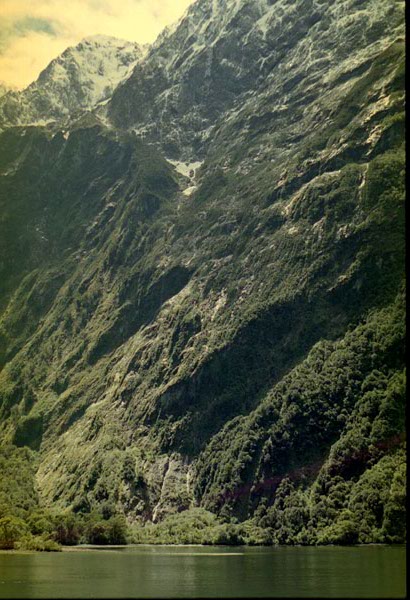 NZ-22-0003