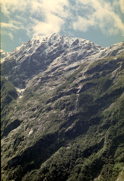 NZ-22-0006