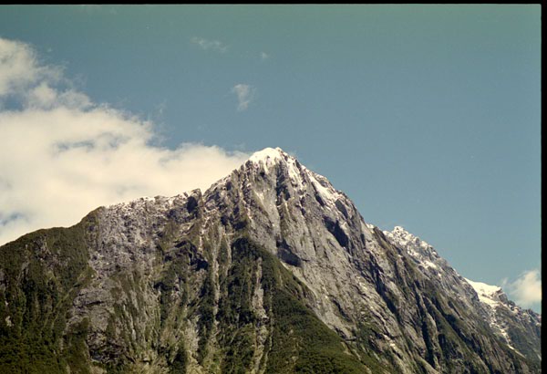 NZ-22-0007