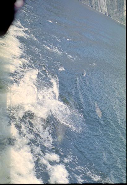 NZ-22-0009