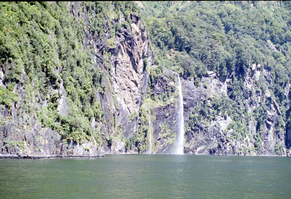 NZ-22-0017