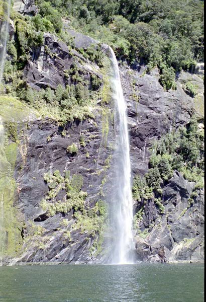 NZ-22-0019
