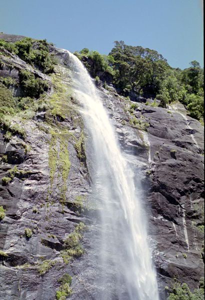 NZ-22-0021