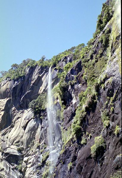 NZ-22-0022
