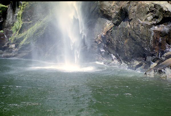 NZ-22-0023