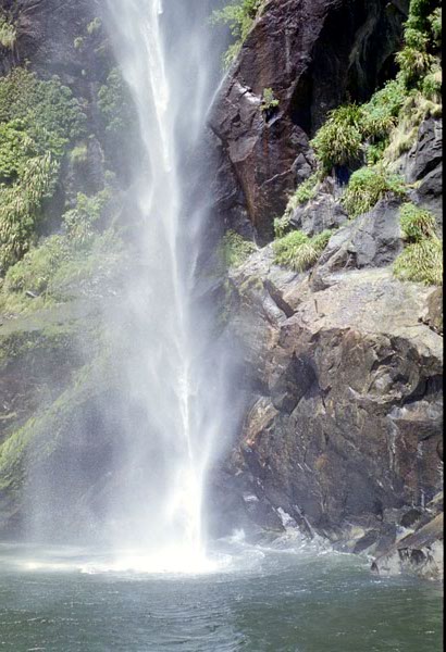 NZ-22-0024