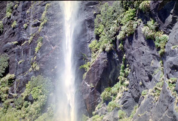 NZ-22-0025