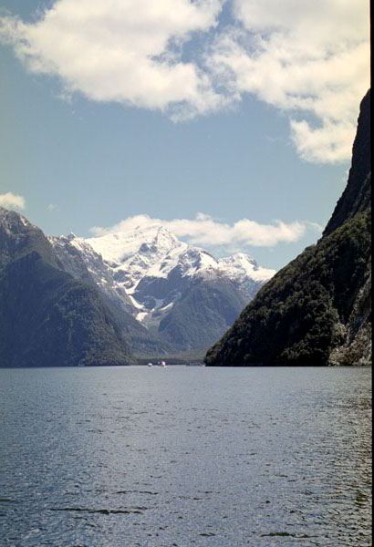 NZ-22-0029