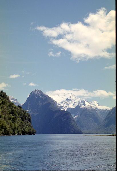 NZ-22-0031