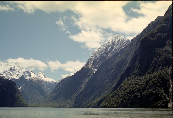 NZ-22-0033