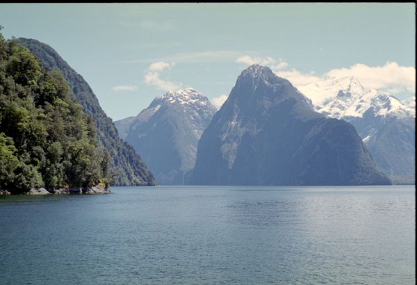 NZ-22-0035