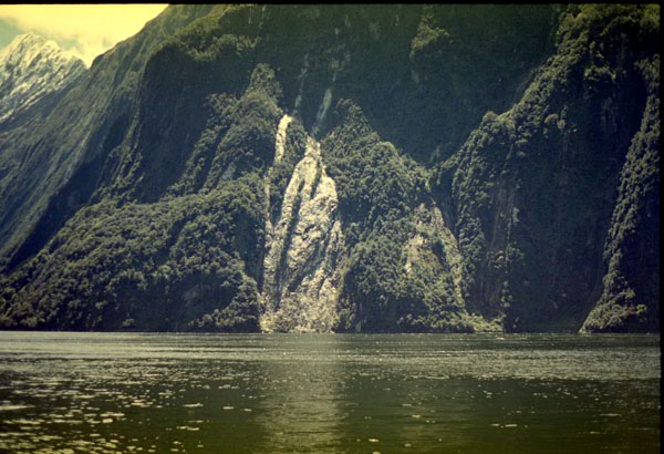 NZ-22-0036