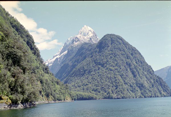 NZ-22-0038