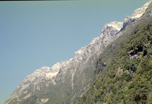 NZ-23-0002