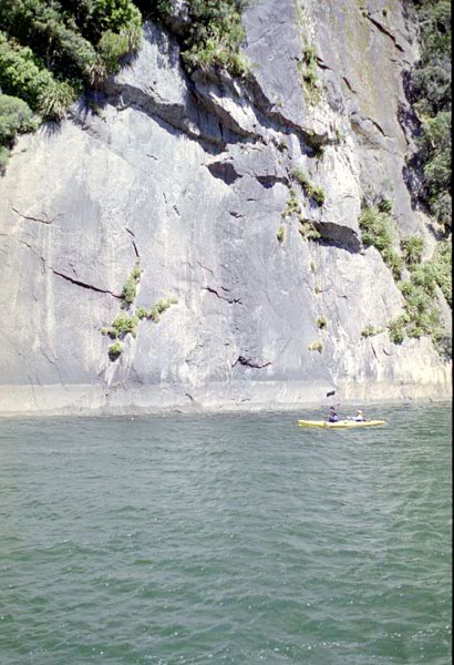 NZ-23-0003