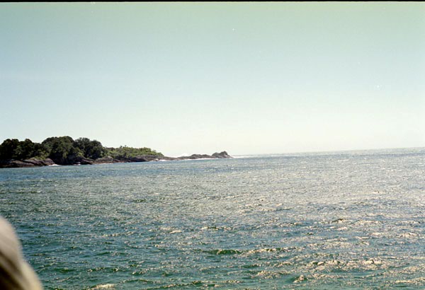 NZ-23-0004
