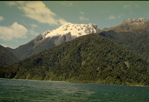 NZ-23-0005