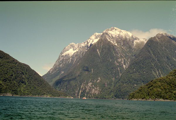 NZ-23-0006