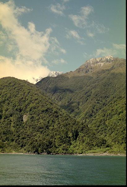 NZ-23-0008