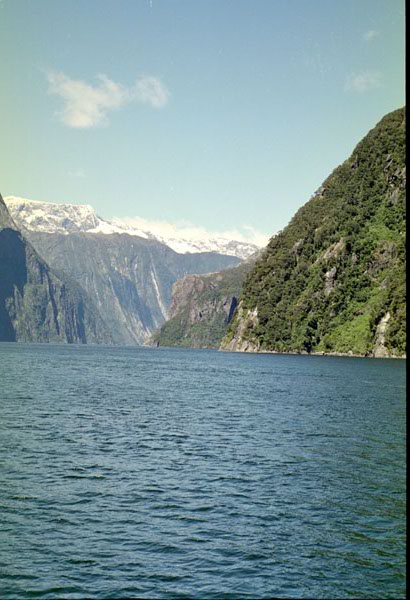 NZ-23-0011
