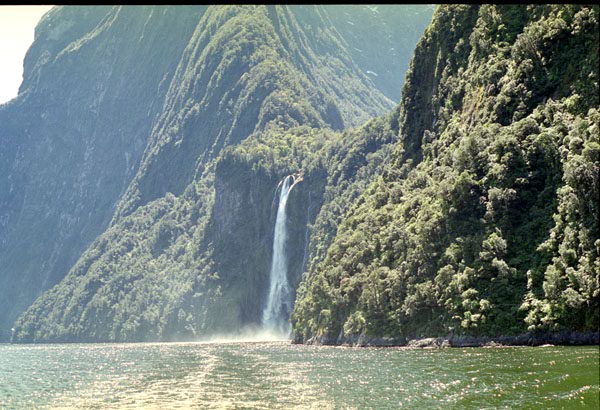 NZ-24-0003