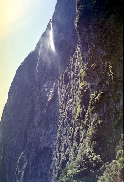 NZ-24-0005