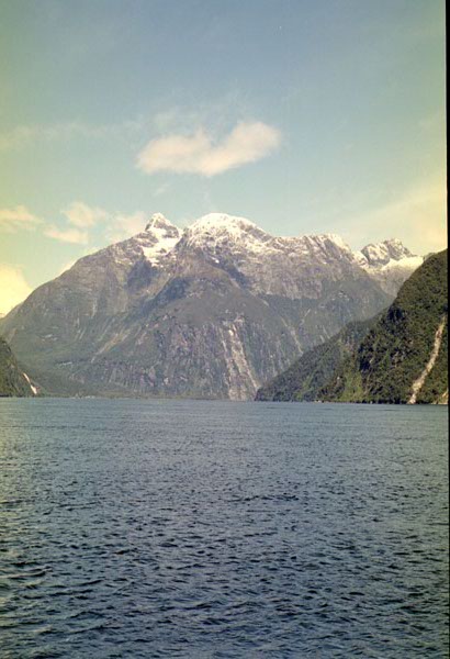 NZ-24-0006