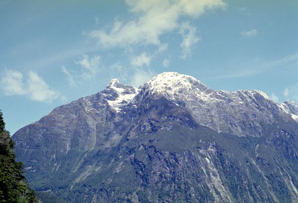 NZ-24-0007