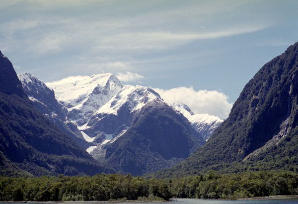 NZ-24-0008