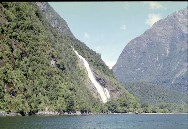 NZ-24-0011