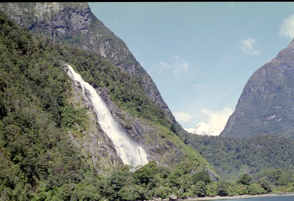 NZ-24-0012