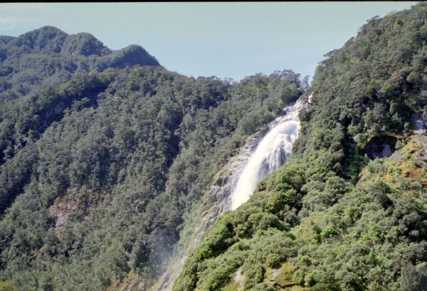 NZ-24-0017