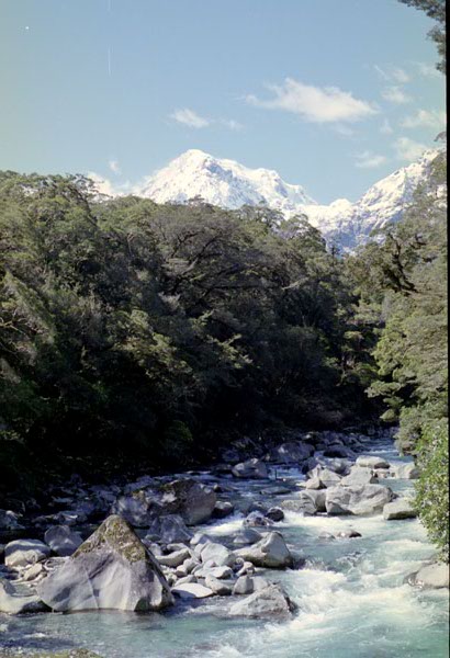 NZ-24-0018