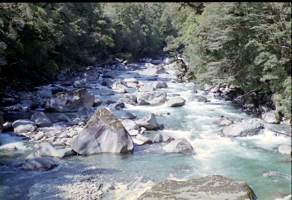 NZ-24-0019