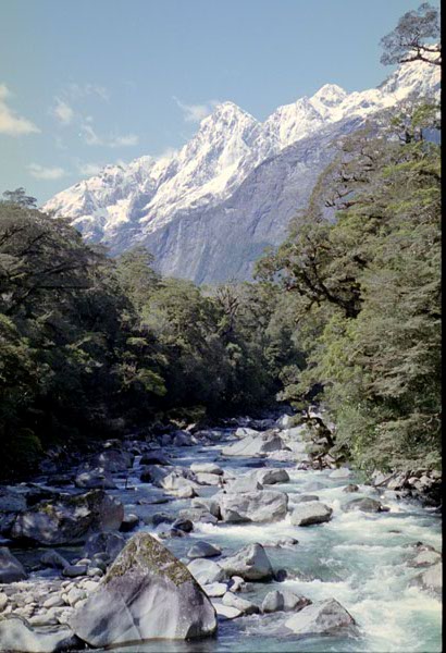 NZ-24-0020