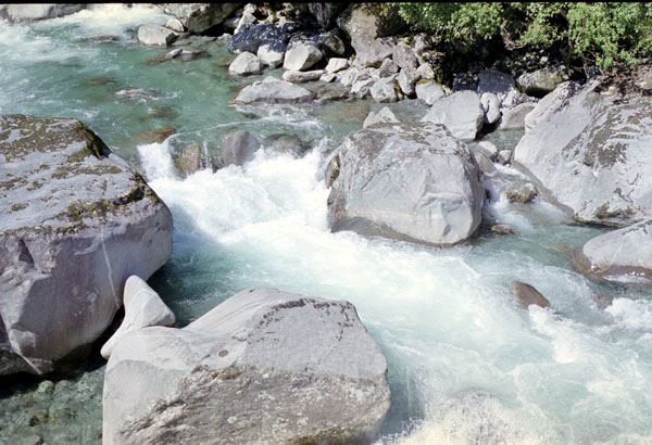 NZ-24-0021
