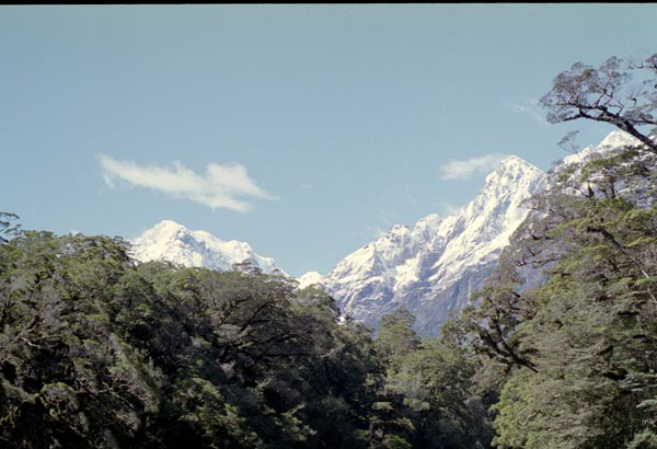 NZ-24-0025